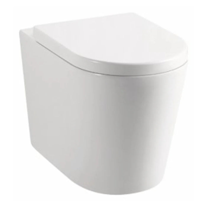 Avery Box Rim Wall Faced Floor Toilet Pan