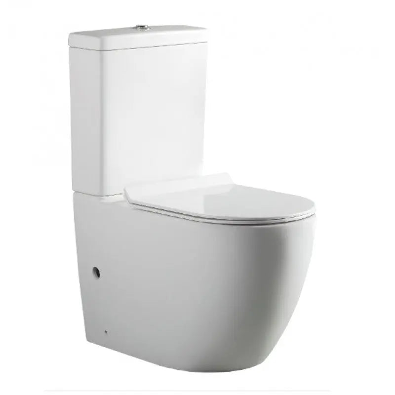 Belbagno - Belbagno Alexander-R Rimless Back To Wall Nano-Glaze Toilet Suite 650mm - Gloss White - Aqualux Bathrooms
