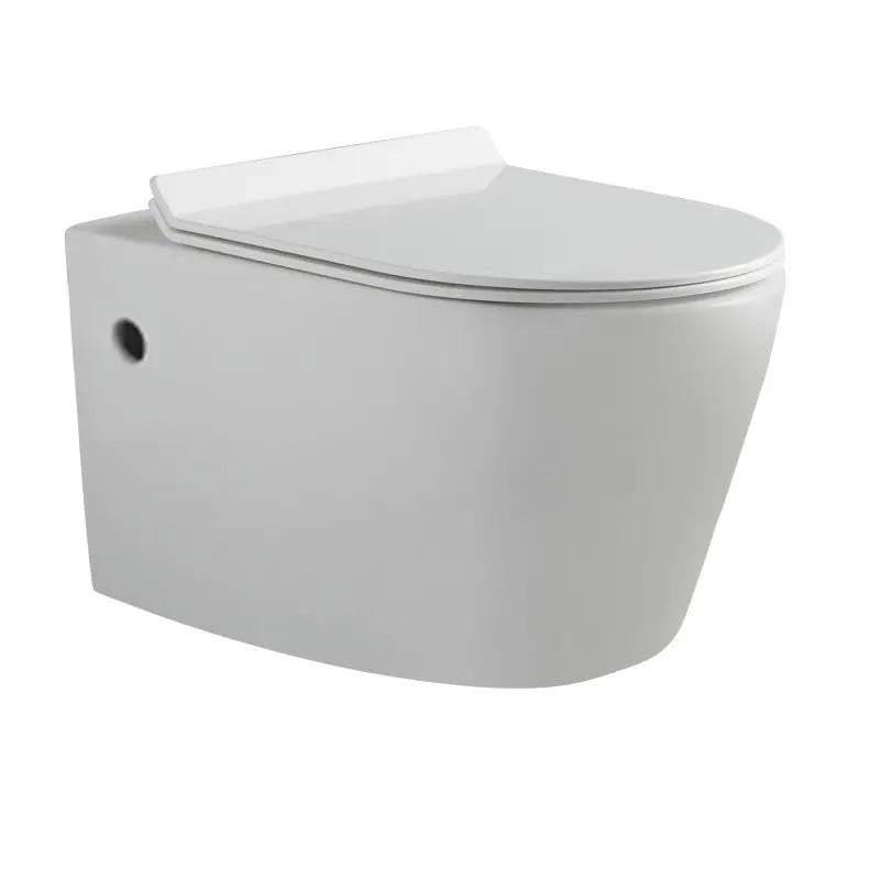 Belbagno - Belbagno Flay-R Wall Hung Pan 540mm - Gloss White - Aqualux Bathrooms