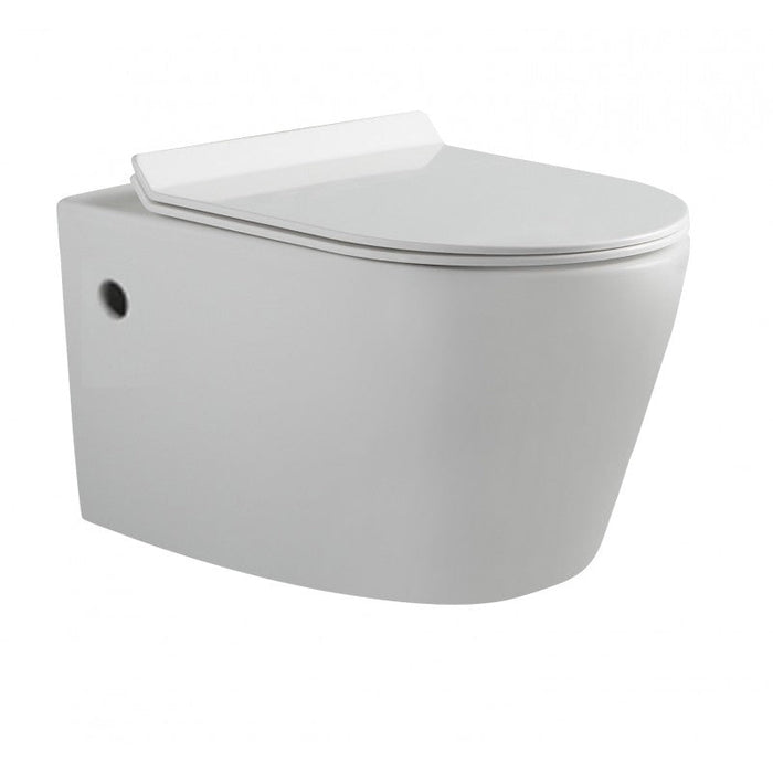 Belbagno Flay-R Wall Hung Pan 540mm - Gloss White