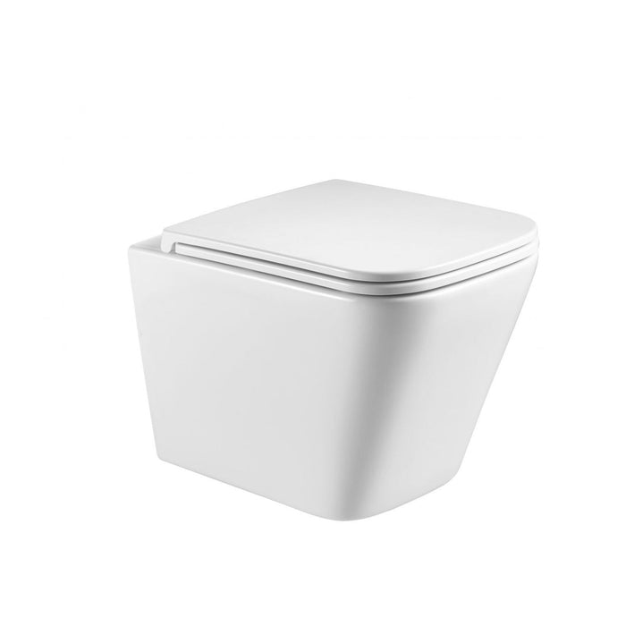 Enox66 Wall Hung Toilet Pan