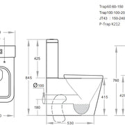 Qubist Box Rim White Toilet Suite - Aqualux Bathrooms- Poseidon