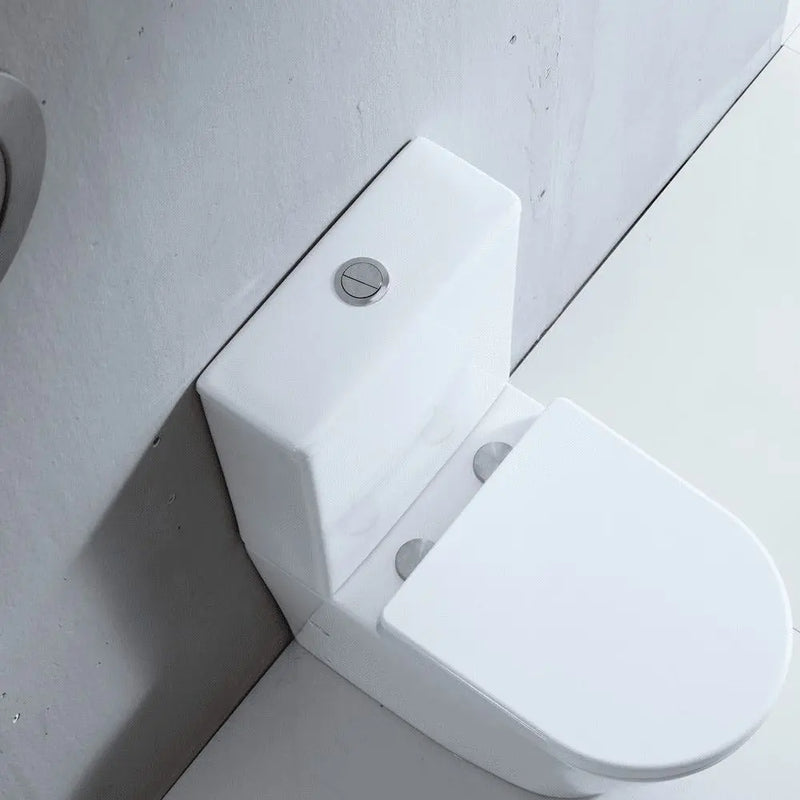 Mercio London Back To Wall Toilet Suite - Aqualux Bathrooms- Mercio
