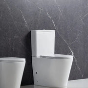 Pani Back-to-Wall Toilet Suite - Aqualux Bathrooms- Mercio