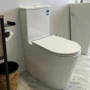 Mercio Pani Rimless Back To Wall Toilet Suite - Aqualux Bathrooms- Mercio