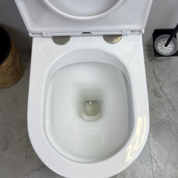 Mercio Pani Rimless Back To Wall Toilet Suite