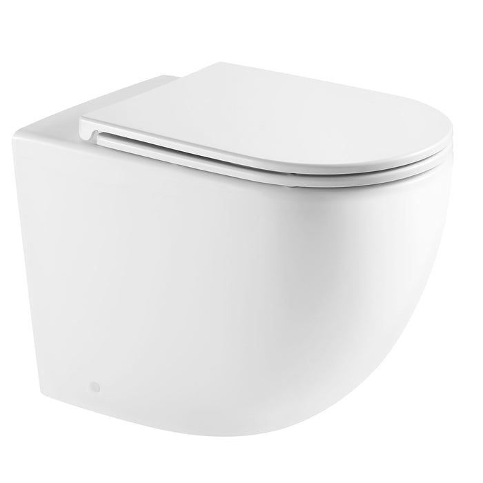 Raul99 Wall Faced Floor Toilets Pan