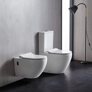 Raul66 Back To Wall Hung Toilet Pan - Aqualux Bathrooms- Mercio