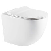 Raul66 Back To Wall Hung Toilet Pan - Aqualux Bathrooms- Mercio