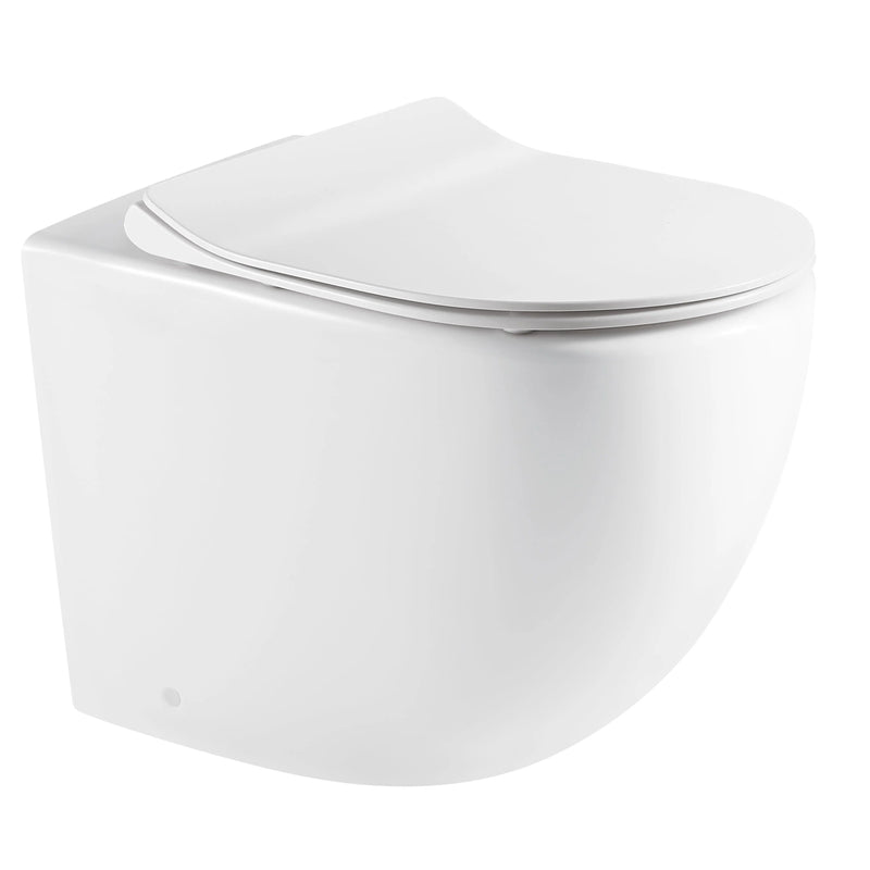 Raul66 Back To Wall Hung Toilet Pan - Aqualux Bathrooms- Mercio