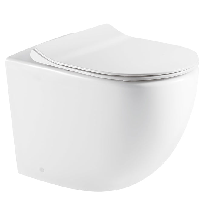 Raul66 Back To Wall Hung Toilet Pan