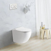 Raul66 Back To Wall Hung Toilet Pan - Aqualux Bathrooms- Mercio