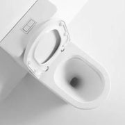 Sena Back-to-Wall Toilet Suite - Aqualux Bathrooms- Mercio