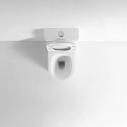 Mercio Walton Rimless Back To Wall Toilet Suite - Aqualux Bathrooms- Mercio