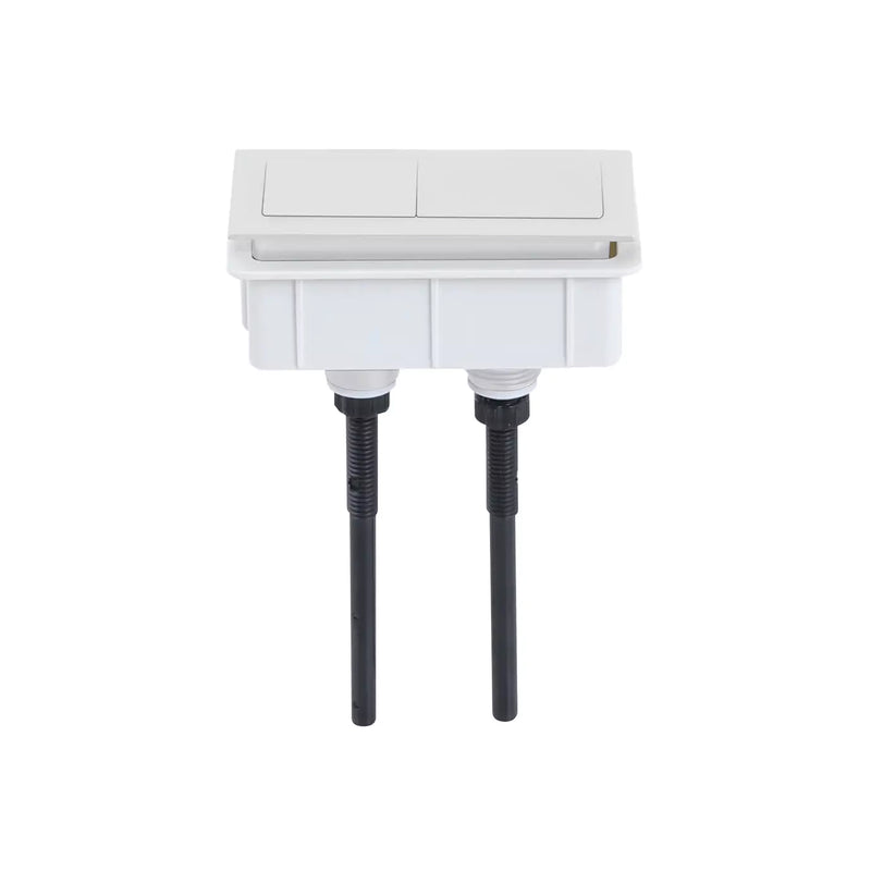 Avis Rimless Back To Wall Toilet Suite Matte White
