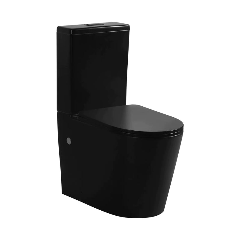 Avis Rimless Back To Wall Toilet Suite Matte Black