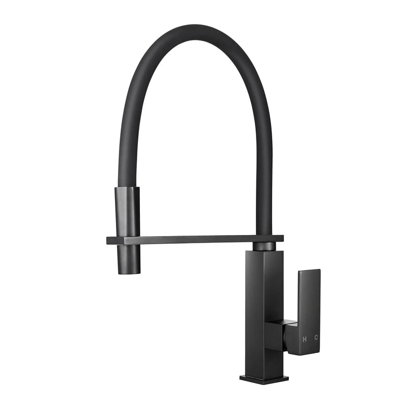 Kitchen Sink Mixer Tap